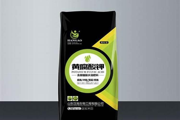 金桔树何时修剪和施肥