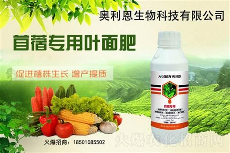 葵花地里有苜蓿,用什么除草剂