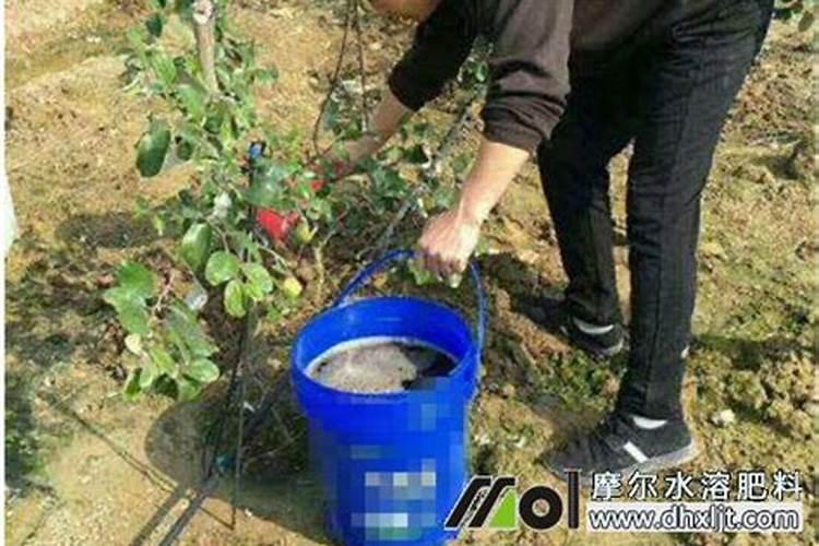 生物菌肥一亩地用多少合适呀