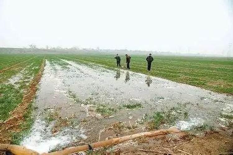 大豆控旺期打多效唑能影响结痂吗