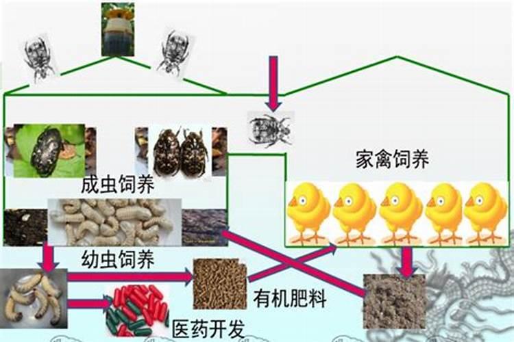 硝盐是普通盐吗