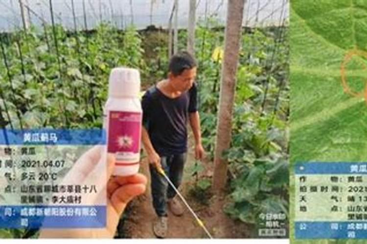 三铵肥料是什么成分