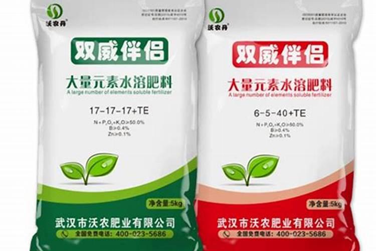 如何自制肥水去浇灌兰花