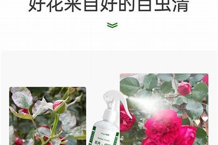 水解鱼蛋白粉是诱食剂吗