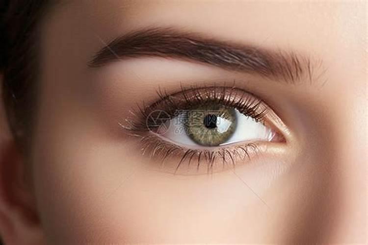 湿地松的栽培技术有哪些？求大神解答