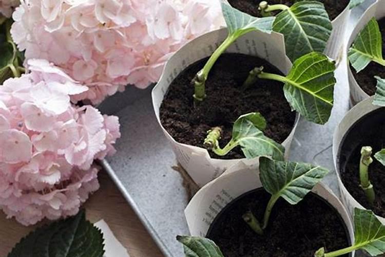 水溶肥料的密度是多少