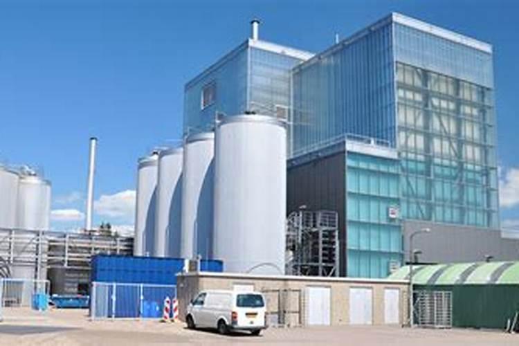 吊兰施什么肥料长得好