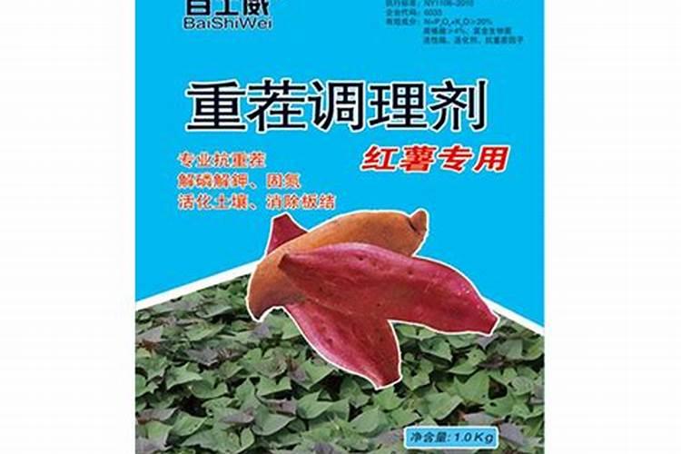 浇什么肥料让红薯长得粗壮长得快
