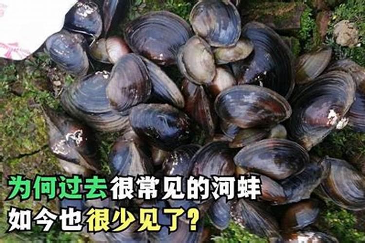 水产健康养殖为什么要强调使用生石灰？
