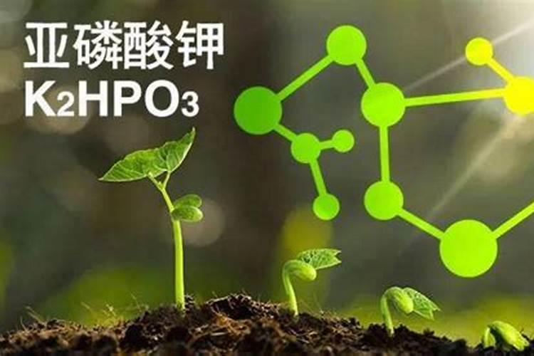 亚磷酸钾中磷钾含量各多少