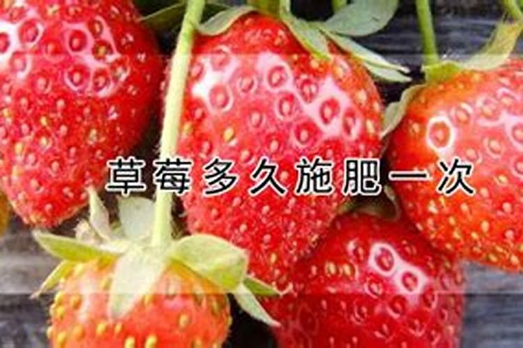 牡丹施肥用什么肥料合适 种植牡丹花四大高效肥料