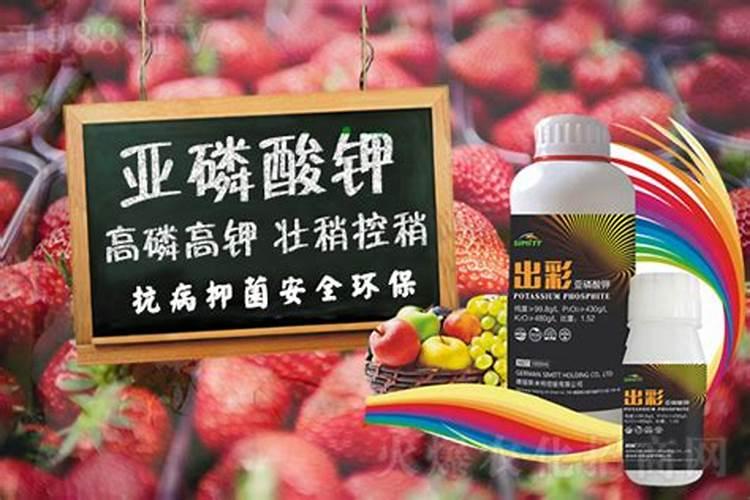 大葱叶面肥喷亚磷酸钾可以吗