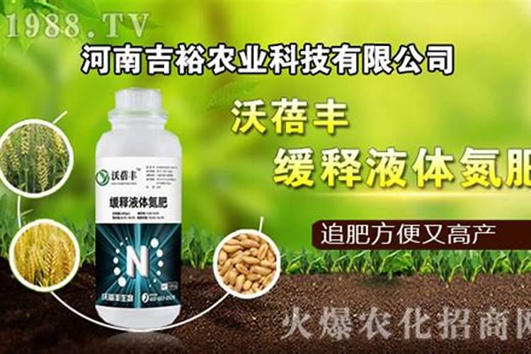 种植西瓜用什么肥料最佳