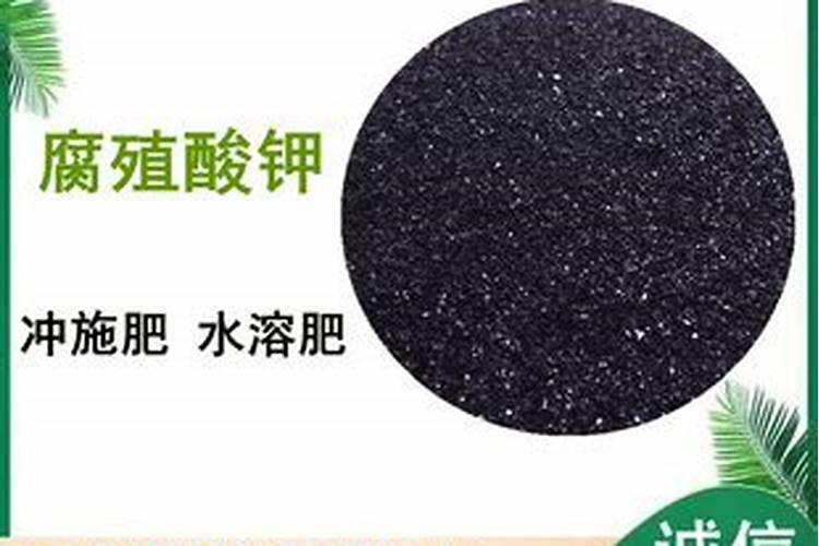 新疆双龙腐植酸有限公司提供哪些类型的腐植酸及其应用领域？