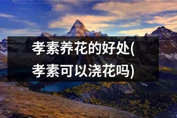 酵素能浇花吗