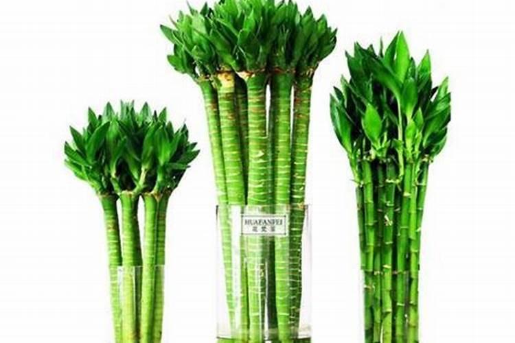 天然磷肥有哪些 如何自制磷肥