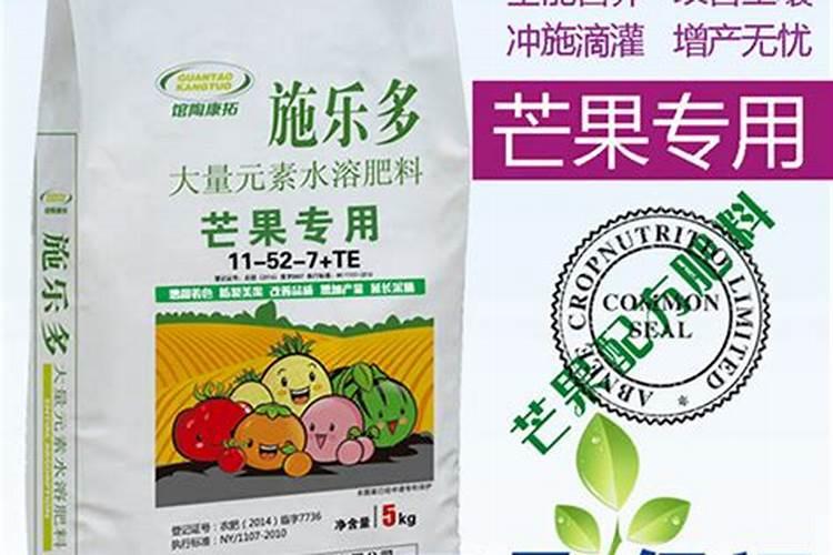 释迦果的功效与禁忌 番荔枝种植技术与修剪方法
