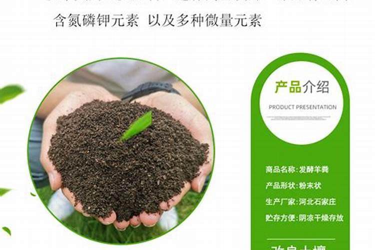 种番薯可以下鸡粪吗