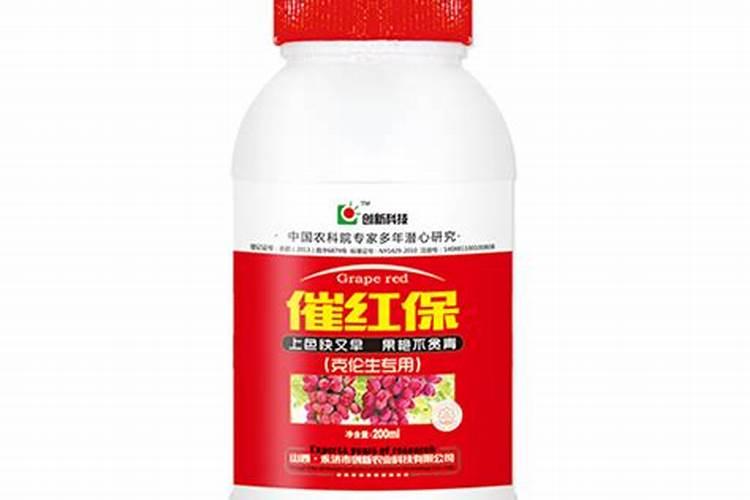 平阴玫瑰的养护方法