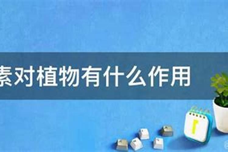 冲施肥滴灌稀释倍数