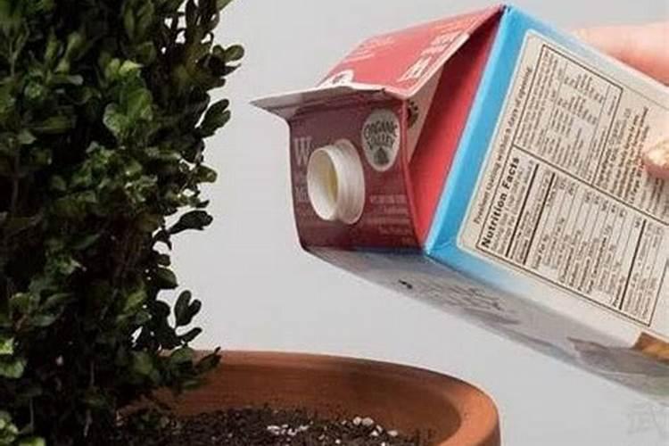 怎么才能分辨农产品里的真有机和假有机？