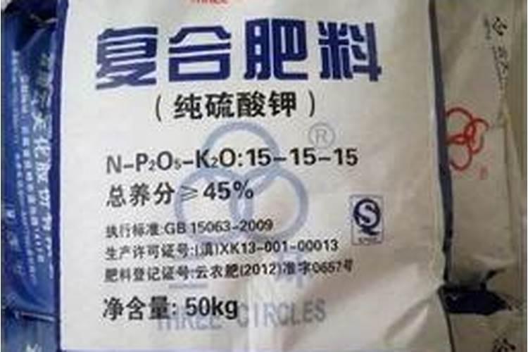 种子内部贮存的营养成分有什么