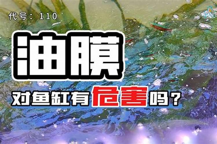 海藻鱼蛋白水溶肥料作用