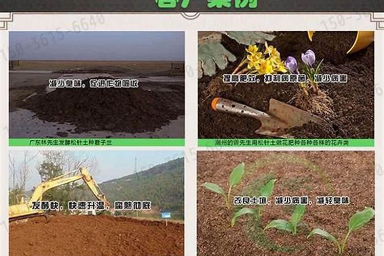 请教:米糠直接拌入土中做肥料还是需要发酵沤肥才能用