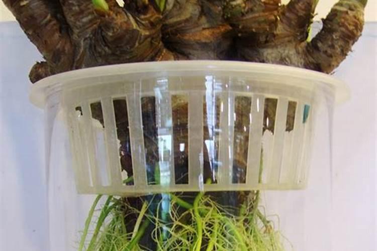 一文读懂微生物肥料标准