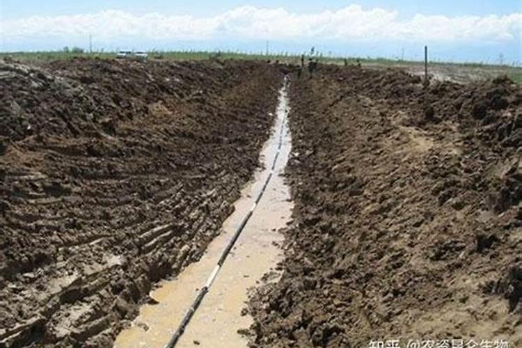 请问各位专家,葡萄釆收完,施什么肥好。一亩地用多少。