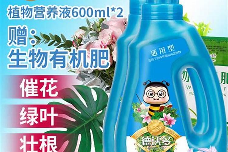 栗子是什么？