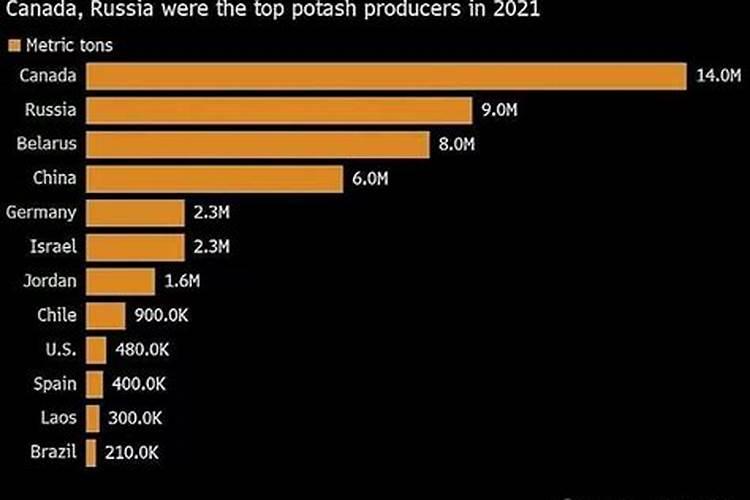 肉制品中用什么防腐剂