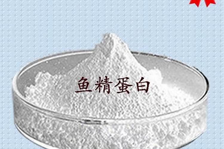 鱼蛋白肥料厂家前十名