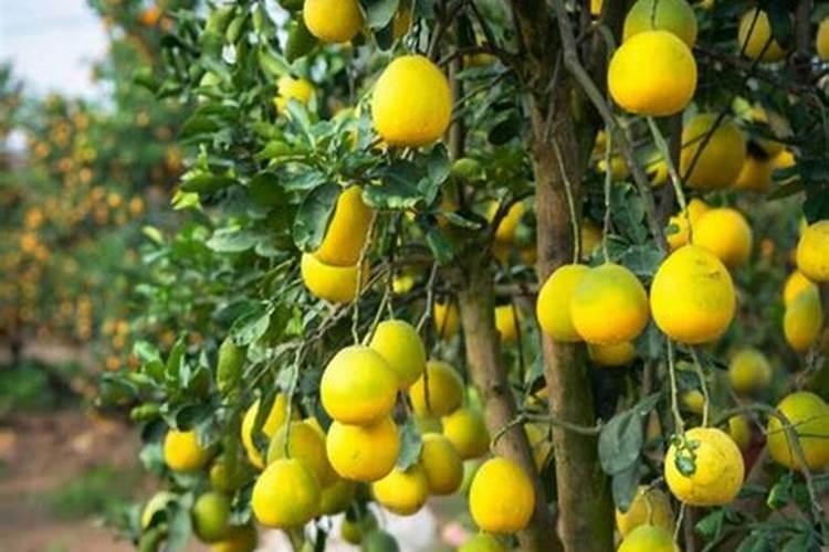 从水管到太空,神奇喷嘴的惊人用途揭秘!拉瓦尔效应究竟是什么？