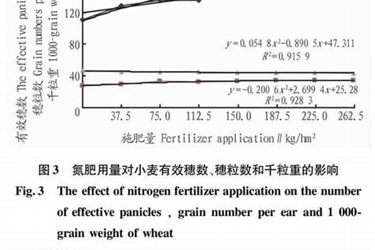 小麦喜欢什么肥料