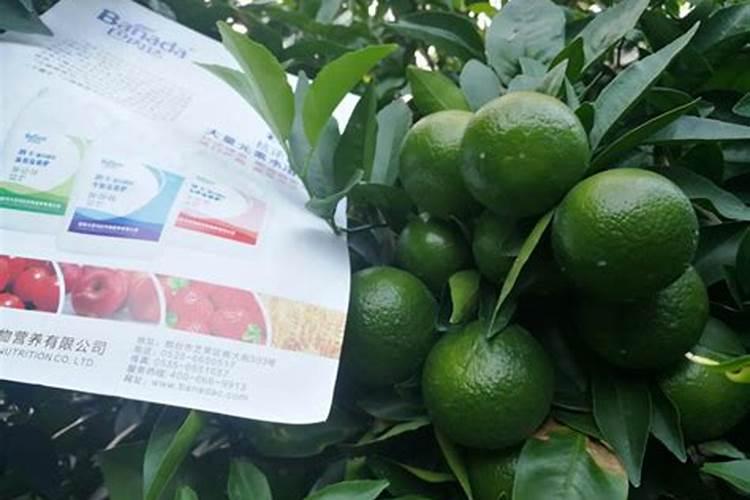 水果一般要施什么肥料才更甜？