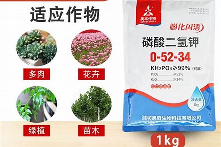 水田生产为什么要施用钾肥？钾肥种类有哪些？水稻吨田宝可以补钾吗？