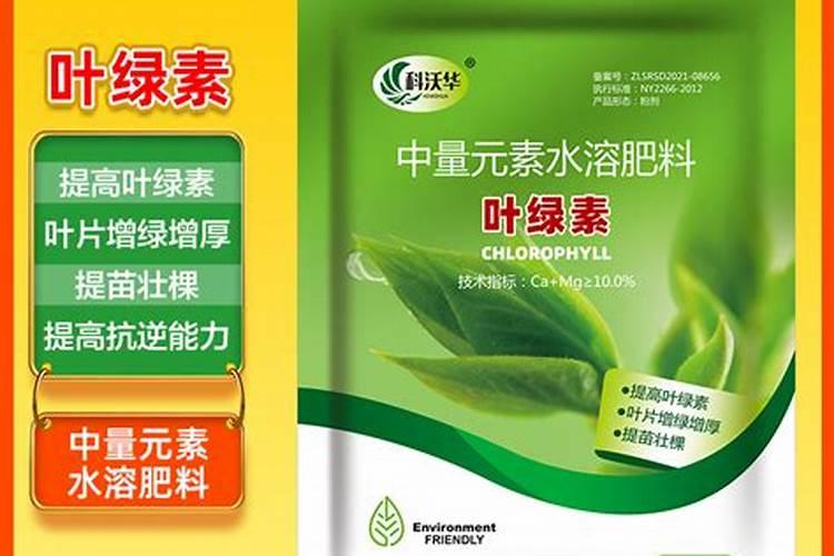 杨梅白糖怎么做好吃