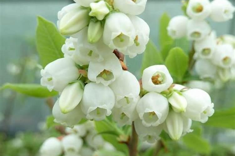 春季法师可以淋雨吗