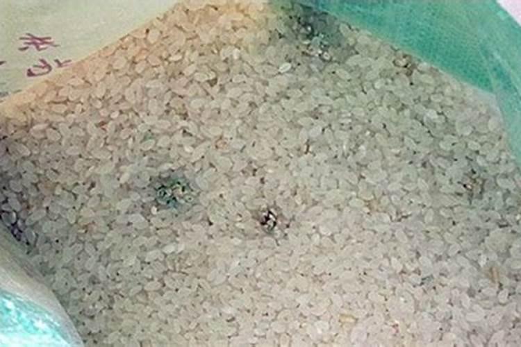 一亩地小麦能卖多少钱人民币