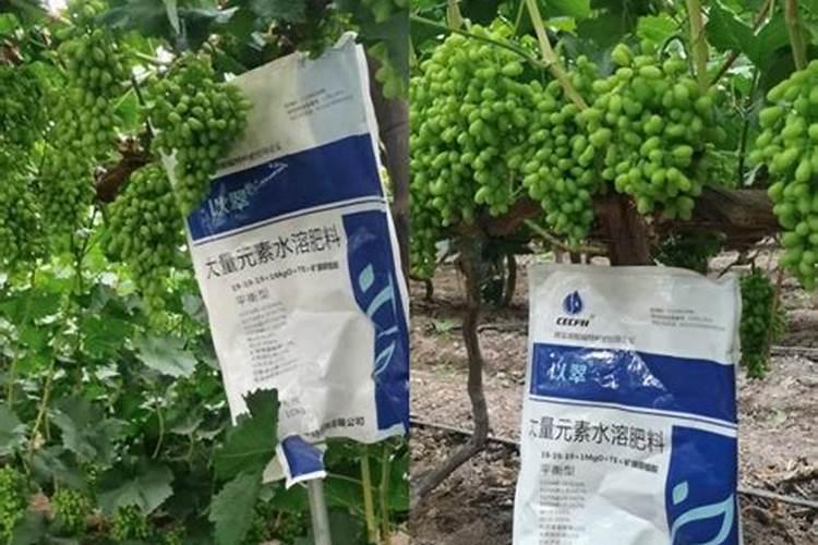 矿源黄腐酸使用大忌