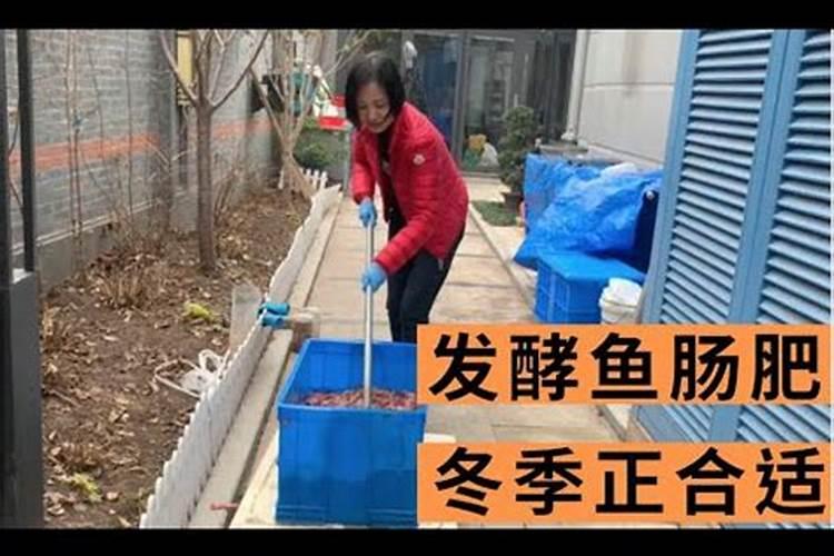 求教鱼内脏能否做肥料