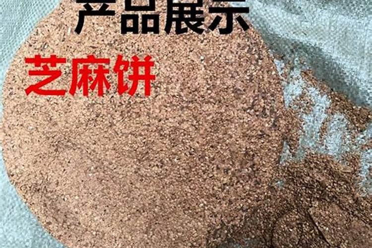 苹果树五月份施肥技术