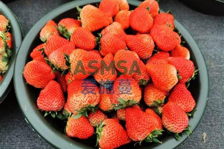 青苔用什么药快速去除(什么药物能够快速杀死水中青苔)