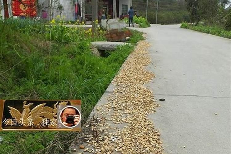 氮磷钾复合肥有哪些,氮磷钾复合肥怎样使用正确