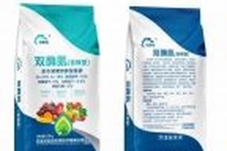 这年头种植白茶有前景吗？