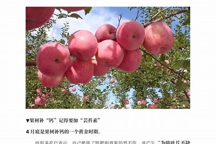 磷肥的作用是什么 磷肥怎么使用正确