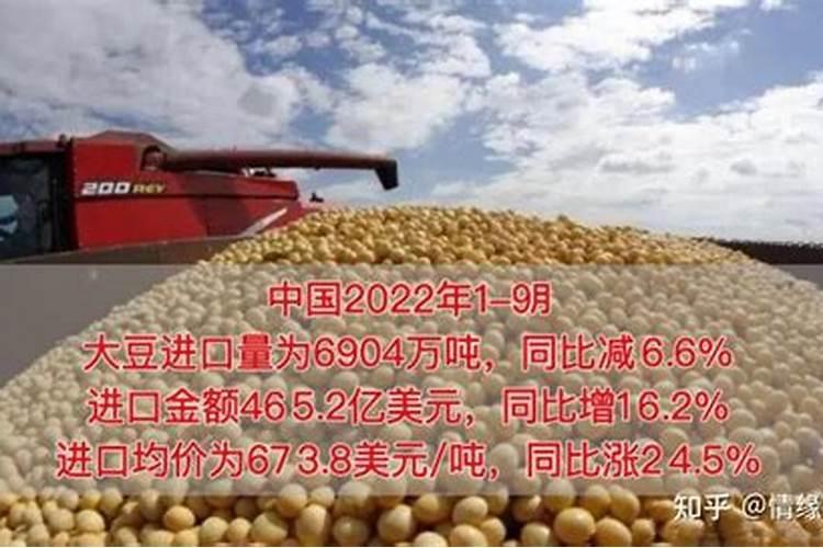 豆科植物不需要氮肥的原因