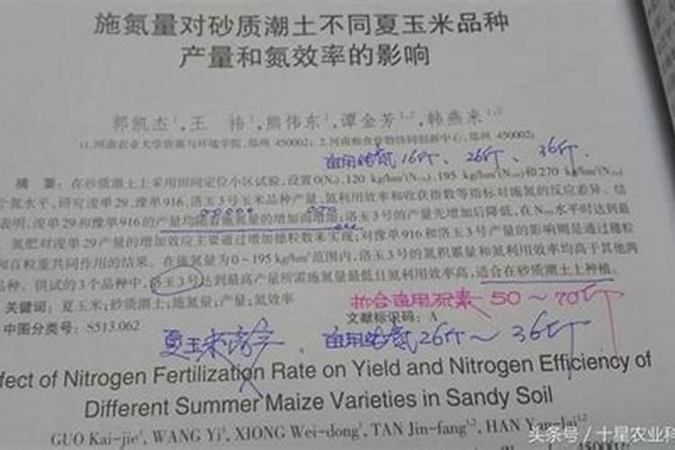 盆栽施尿素多少合适
