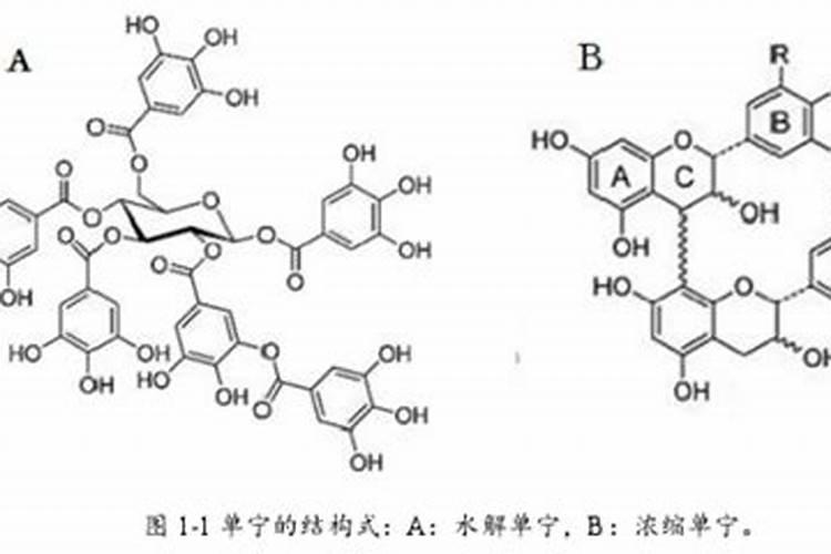 液体缓释氮肥能代替追肥吗